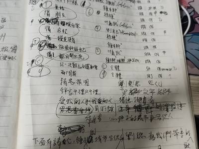 元旦晚會-節目表